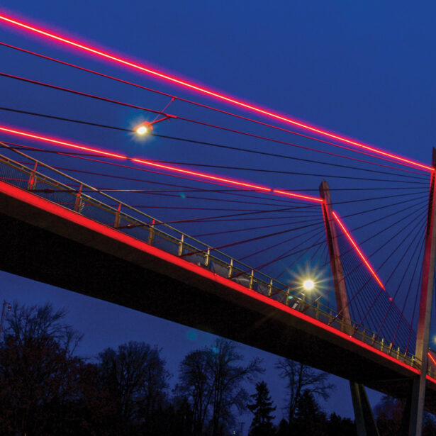 Delta ponds bridge 1