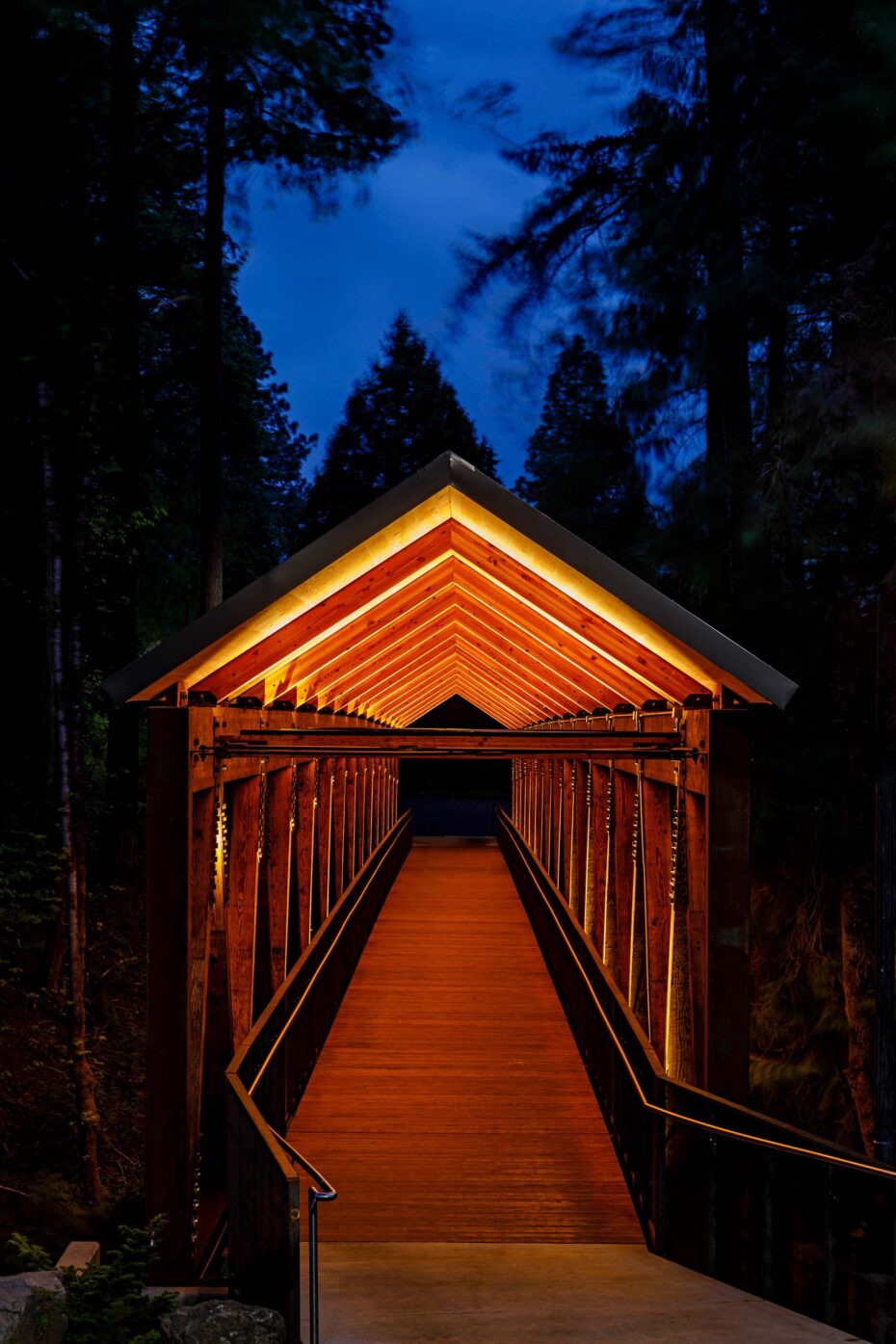 picture Lewis Clark Pedestrian Bridge 3